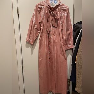 Pink and silver shimmery Buru House dress with heart buttons (worn once)
